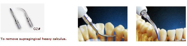 10Pcs Dental Ultrasonic Piezo Scaler Tip G2